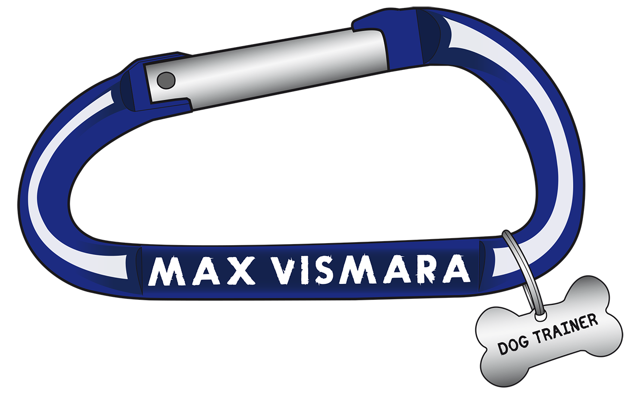 Max Vismara Dog Trainer